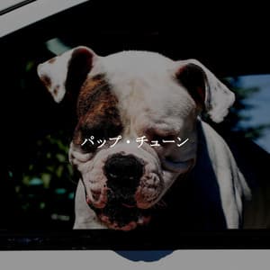 パップ・チューン - Early Morning Jazz Playlist