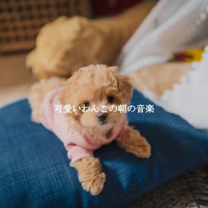 可愛いわんこの朝の音楽 - Acoustic Jazz