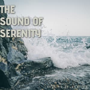 The Sound of Serenity: Piano Music and Ocean Waves - Keys to Relaxation