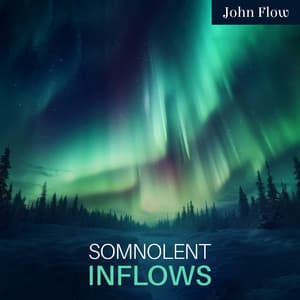 Somnolent Inflows - John Flow