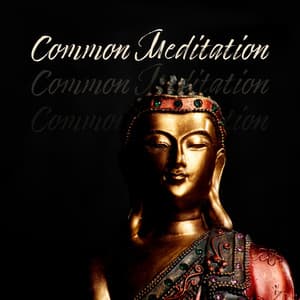 Common Meditation - Mental Preparation for the Magha Puja Day, Perfect Harmony, Buddha Meditation - Meditation Music Composer