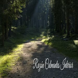 Razón Calmantes Interior - Música Instrumental Maestro