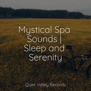 Mystical Spa Sounds | Sleep and Serenity - Best Relaxing SPA Music