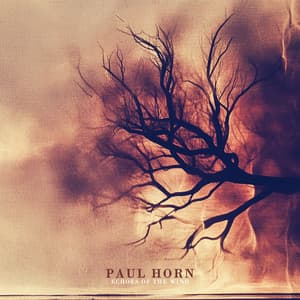 Echoes of the Wind - Paul Horn