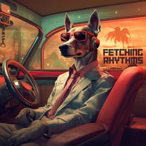 Fetching Rhythms - Dog Relaxation