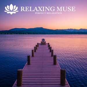 PERFECT RELAXATION - Relaxing Muse