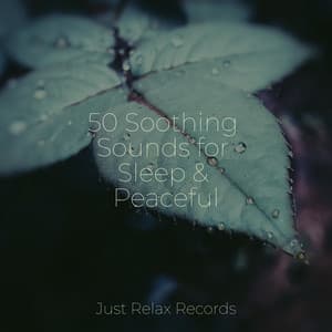 50 Soothing Sounds for Sleep & Peaceful - Japanese Relaxation and Meditation