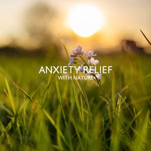 Anxiety Relief with Nature - Sound Effects Zone