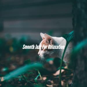 Smooth Jazz For Relaxation - Early Morning Chill Out Playlist