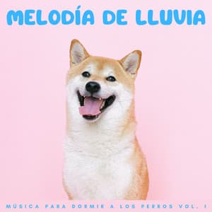 Melodía De Lluvia: Música Para Dormir A Los Perros Vol. 1 - Gotas de lluvia para dormir