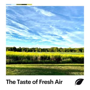 The Taste of Fresh Air - Sounds Of The Earth