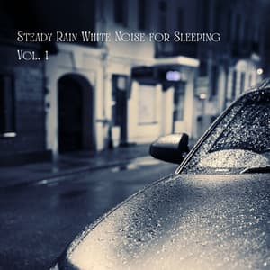 Steady Rain White Noise for Sleeping Vol. 1 - White Noise Therapy