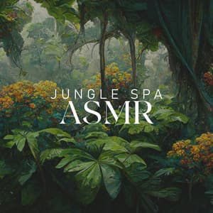 Jungle SPA ASMR: Amazing Feeling and View, Relaxing Spa Sounds - Calm Sea Ambient