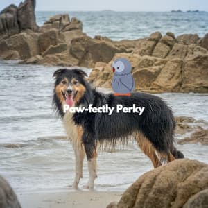 Paw-fectly Perky - Sleeping Music For Dogs