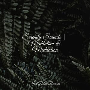 Serenity Sounds | Meditation & Meditation - Musica Romantica