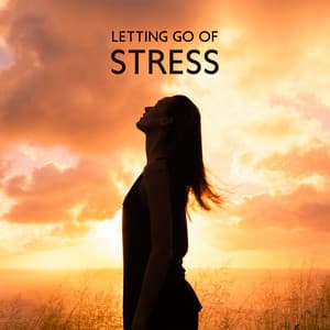 Letting Go of Stress: Release Your Fears and Anxiety, Meditation for Letting Go, Present Moment with Peaceful Music - Anti Stress Music Zone