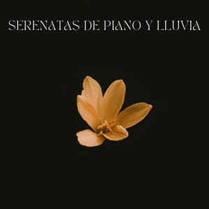 Serenatas De Piano y Lluvia - Música clásica de piano de la nueva era