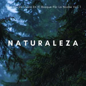 Naturaleza: Sonidos De Lluvia En El Bosque Por La Noche Vol. 1 - Lluvia Relajante para Dormir