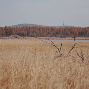 Sleep Compilation to Guide Yoga & find Calm - Big Sounds