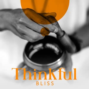Thinkful Bliss: Tibetan Music for Deep Meditation, Conscious Rest, Tibetan Spa Relaxation - Therapeutic Tibetan Spa Collection