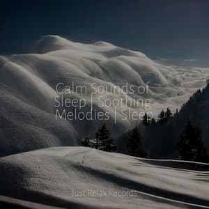 Calm Sounds of Sleep | Soothing Melodies | Sleep - Musica Relajante