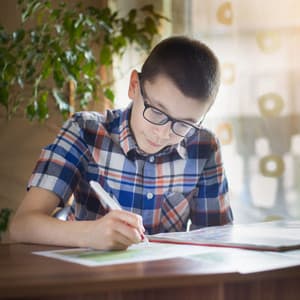 Wings of Knowledge: Study Ambiance with Birds and Owl Soundscape - Scandinavian Birds