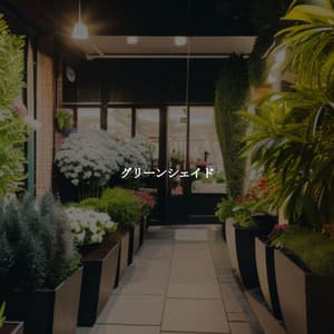 グリーンシェイド - Classy Lounge Playlist
