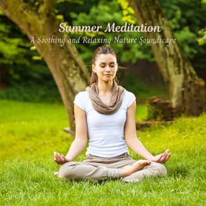 Summer Meditation: A Soothing and Relaxing Nature Soundscape - Rain and Heavy Thunderstorm Sounds