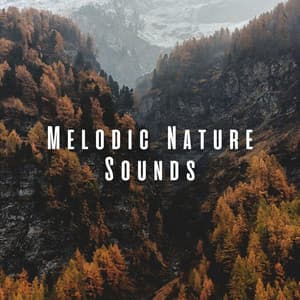 Melodic Nature Sounds - Nature Sounds Library