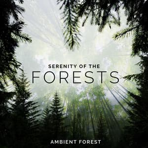 Serenity of the Forests - Ambient Forest