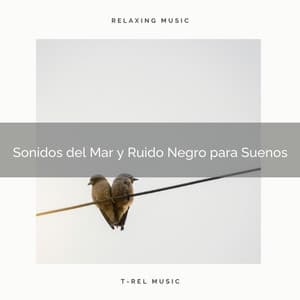 Sonidos del Mar y Ruido Negro para Suenos - Ruido Para Bebé