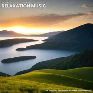 Relaxation Music for Sleeping, Relaxation, Wellness, Traffic Noise 2 - Sleeping Music for Babies