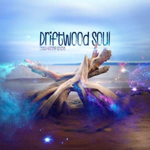 Driftwood Soul - Ontspanning Sound