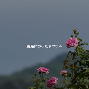 裏庭にぴったりのチル - Smooth Dinner Music