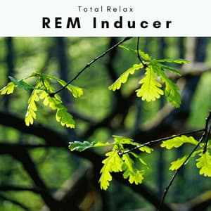 1 REM Inducer - Rivers and Streams