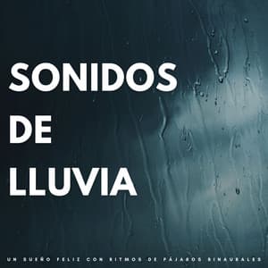 Sonidos De Lluvia: Un Sueño Feliz Con Ritmos De Pájaros Binaurales - Lluvia - Lluvia de primavera