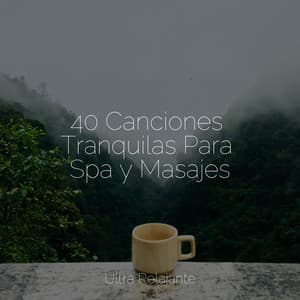 40 Canciones Tranquilas Para Spa y Masajes - Sonido Del Bosque y Naturaleza
