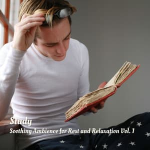 Study: Soothing Ambience for Rest and Relaxation Vol. 1 - Study power