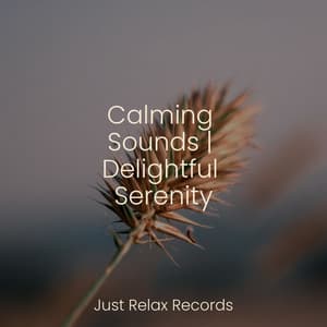 Calming Sounds | Delightful Serenity - Smart Baby Lullaby