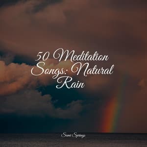 50 Meditation Songs: Natural Rain - Academia de Música para Massagem e Relaxamento