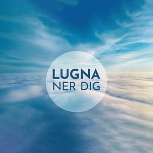 Lugna ner dig: Fridfulla flöjtreflektioner, Balans och känslomässig återställning - Lugn Musik Atmosfär