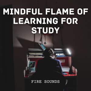 Fire Sounds: Mindful Flame of Learning for Study - Ultimate Fire Experience
