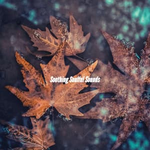 Soothing Soulful Sounds - Jazz Lounge Bar Ambiance