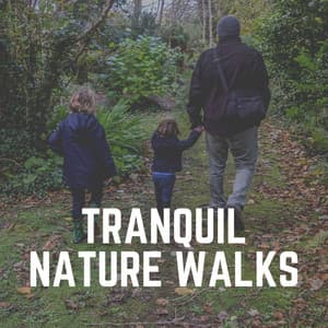 Tranquil Nature Walks - Organic Sound