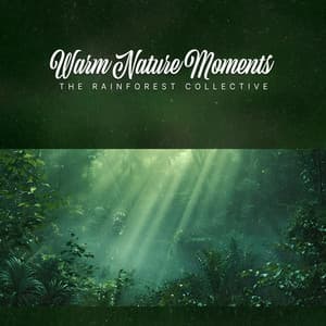 Warm Nature Moments - The Rainforest Collective