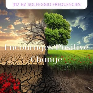 Encourages Positive Change - 417 Hz Solfeggio Frequencies