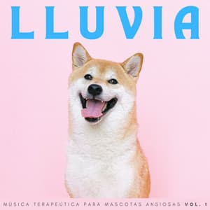 Lluvia: Música Terapeútica Para Mascotas Ansiosas Vol. 1 - Lluvia y Naturaleza