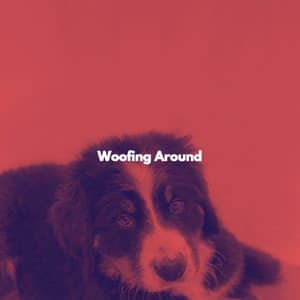 Woofing Around - Good Morning Music