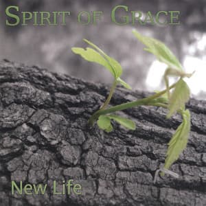 New Life - Spirit Of Grace