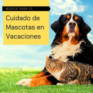 Música para el Cuidado de Mascotas en Vacaciones: Canciones para Dormir Perros y Gatos Inquietos - Especialistas de Musica para Dormir
